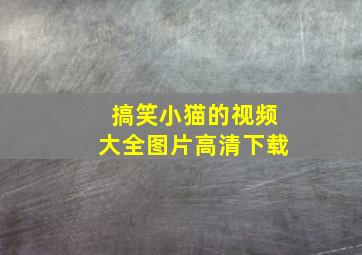 搞笑小猫的视频大全图片高清下载