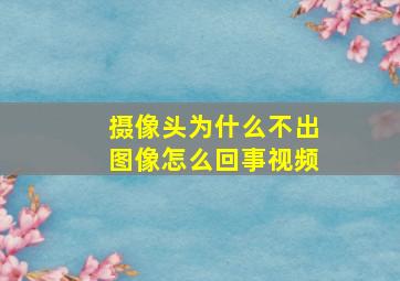 摄像头为什么不出图像怎么回事视频