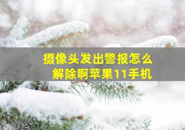 摄像头发出警报怎么解除啊苹果11手机