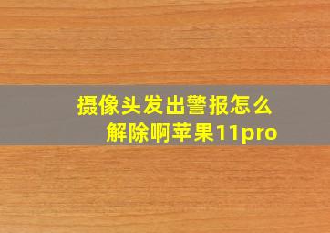 摄像头发出警报怎么解除啊苹果11pro