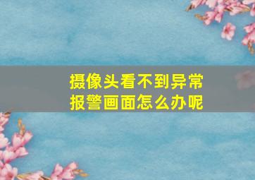 摄像头看不到异常报警画面怎么办呢