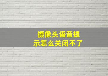 摄像头语音提示怎么关闭不了