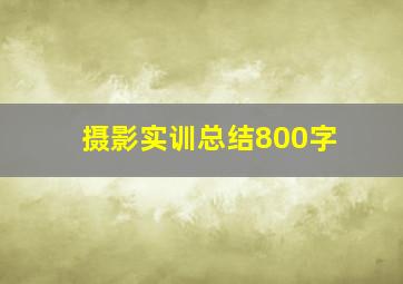 摄影实训总结800字