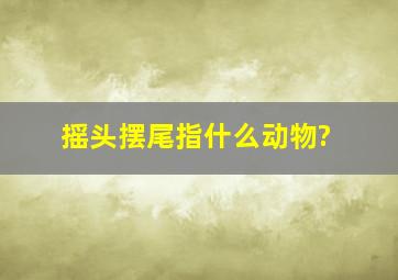 摇头摆尾指什么动物?