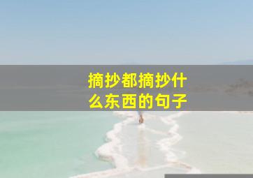 摘抄都摘抄什么东西的句子