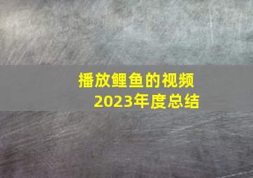 播放鲤鱼的视频2023年度总结