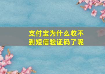 支付宝为什么收不到短信验证码了呢