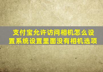 支付宝允许访问相机怎么设置系统设置里面没有相机选项