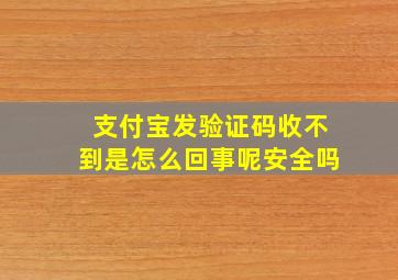 支付宝发验证码收不到是怎么回事呢安全吗