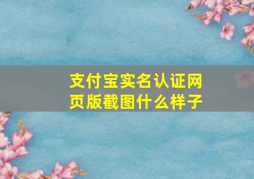 支付宝实名认证网页版截图什么样子