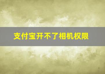 支付宝开不了相机权限