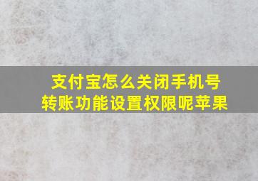 支付宝怎么关闭手机号转账功能设置权限呢苹果