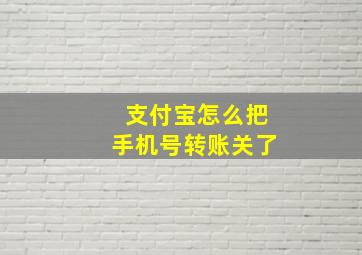 支付宝怎么把手机号转账关了