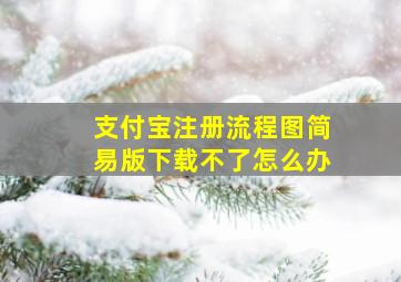 支付宝注册流程图简易版下载不了怎么办