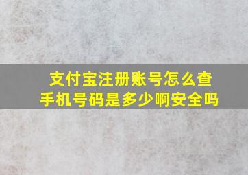 支付宝注册账号怎么查手机号码是多少啊安全吗