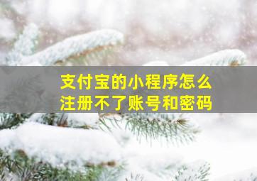 支付宝的小程序怎么注册不了账号和密码