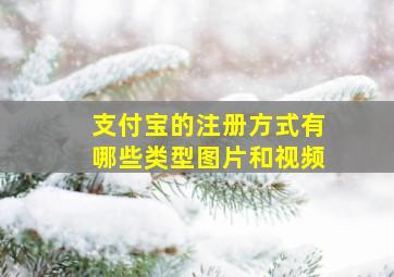 支付宝的注册方式有哪些类型图片和视频