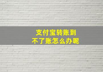 支付宝转账到不了账怎么办呢