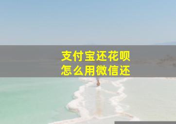 支付宝还花呗怎么用微信还