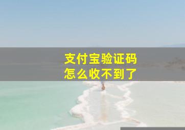 支付宝验证码怎么收不到了