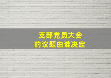 支部党员大会的议题由谁决定