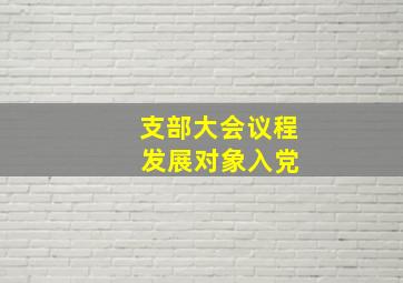 支部大会议程 发展对象入党