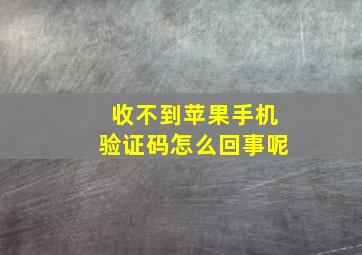 收不到苹果手机验证码怎么回事呢