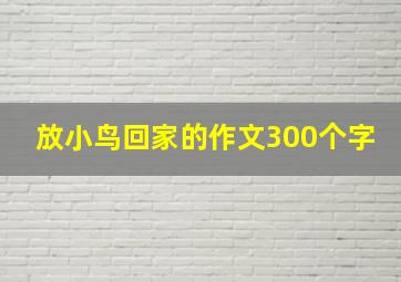 放小鸟回家的作文300个字