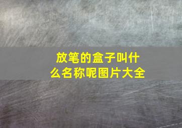 放笔的盒子叫什么名称呢图片大全