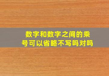 数字和数字之间的乘号可以省略不写吗对吗