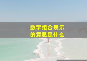 数字组合表示的意思是什么