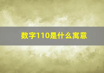 数字110是什么寓意