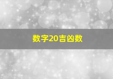 数字20吉凶数