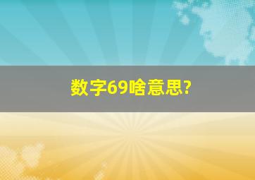 数字69啥意思?