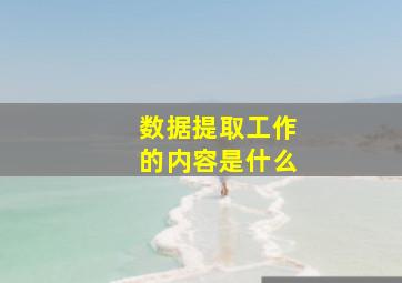 数据提取工作的内容是什么