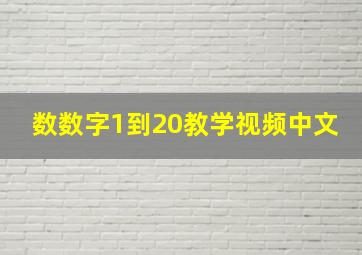 数数字1到20教学视频中文