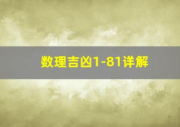 数理吉凶1-81详解