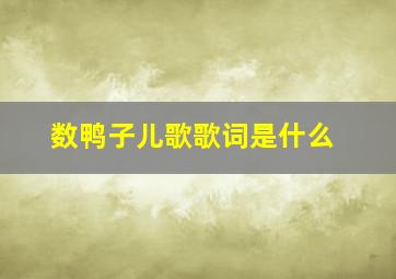 数鸭子儿歌歌词是什么