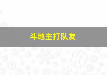 斗地主打队友