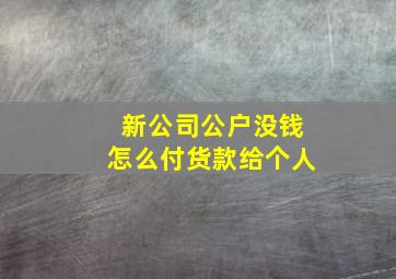 新公司公户没钱怎么付货款给个人