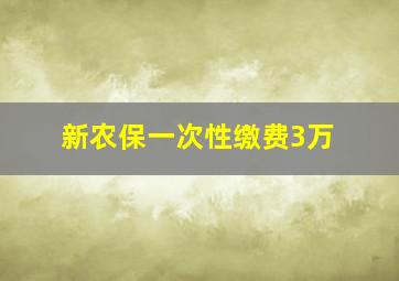 新农保一次性缴费3万