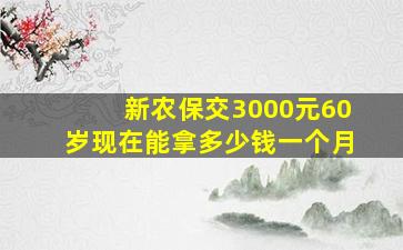 新农保交3000元60岁现在能拿多少钱一个月