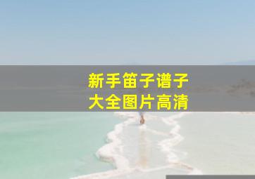 新手笛子谱子大全图片高清