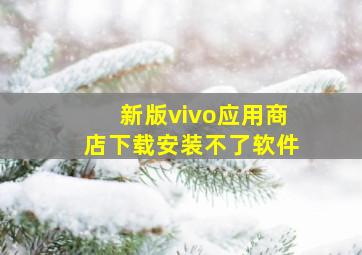 新版vivo应用商店下载安装不了软件