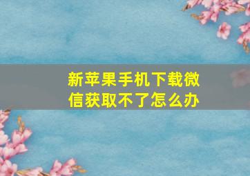 新苹果手机下载微信获取不了怎么办