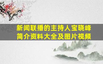 新闻联播的主持人宝晓峰简介资料大全及图片视频