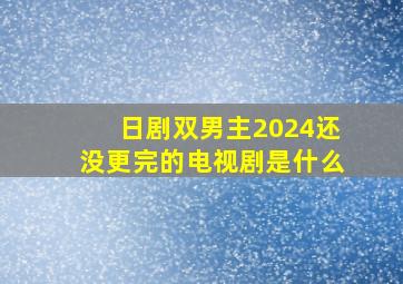 日剧双男主2024还没更完的电视剧是什么