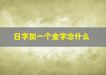 日字加一个金字念什么