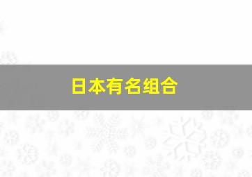 日本有名组合