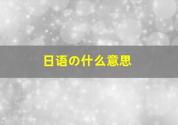 日语の什么意思